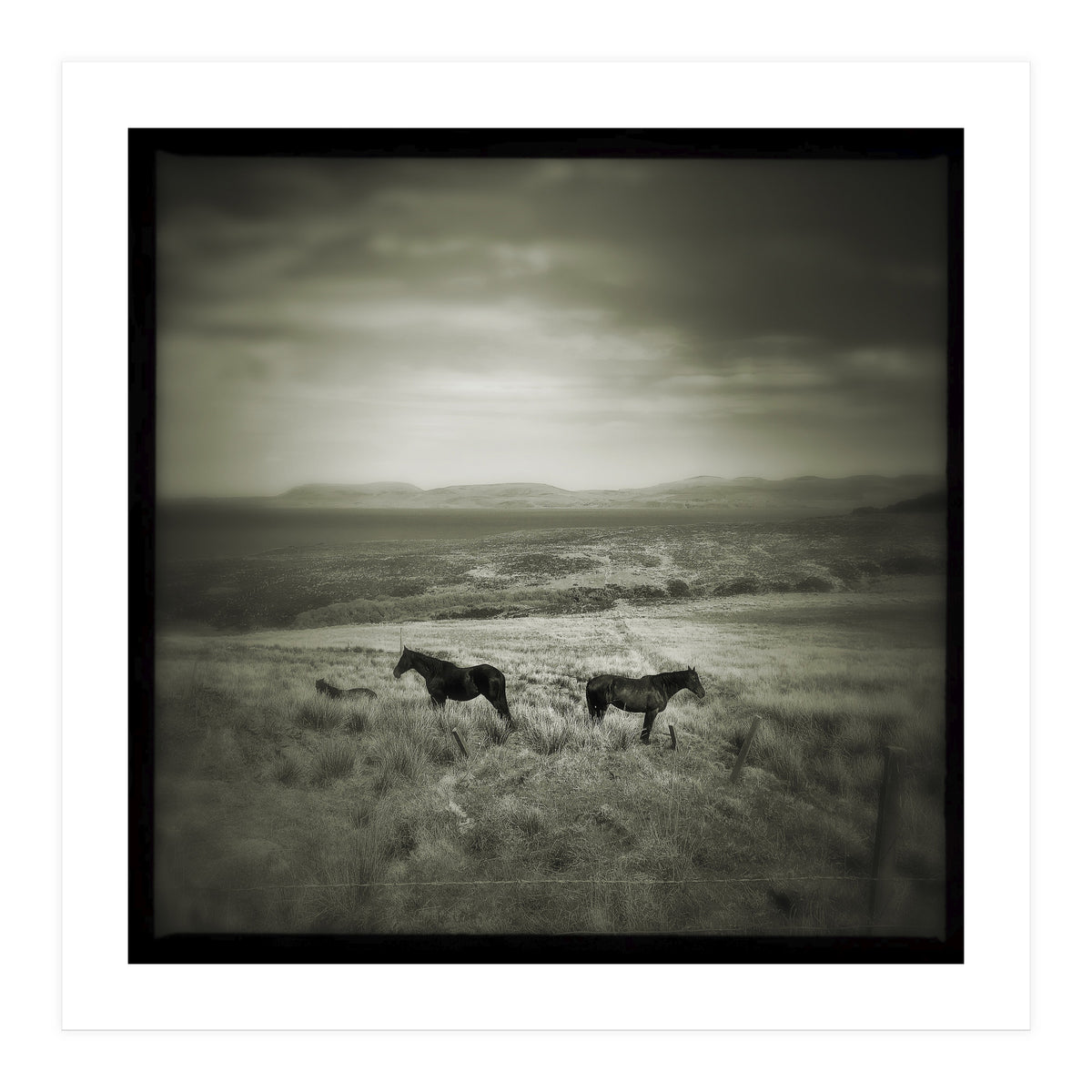 Gillen (Print Only)