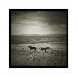 Gillen (Print Only) thumbnail