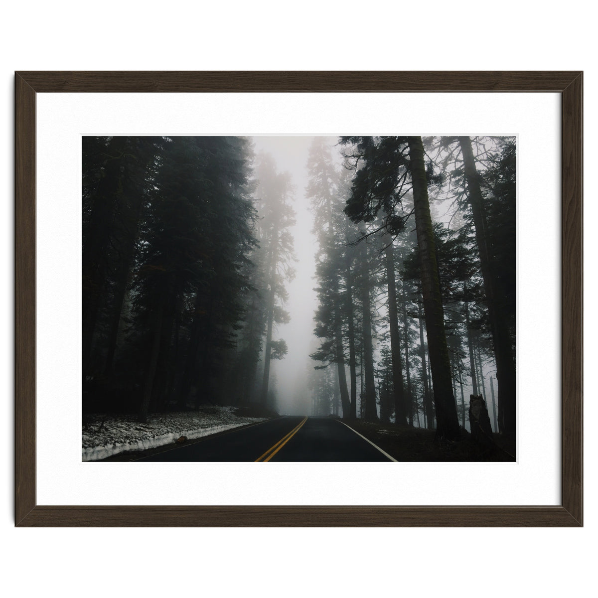 Foggy Yosemite