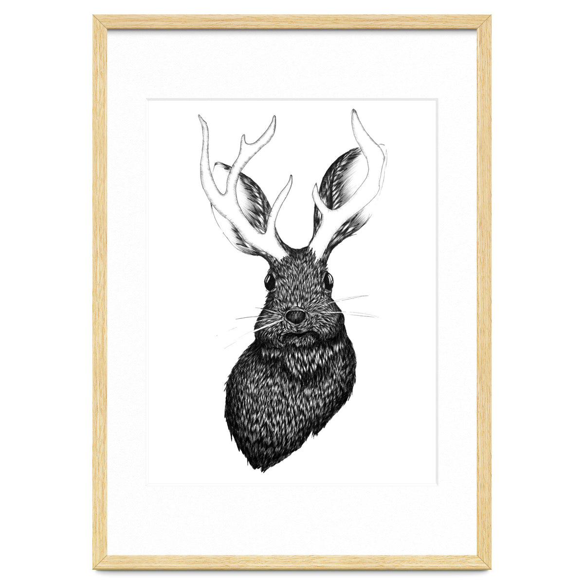 Jackalope