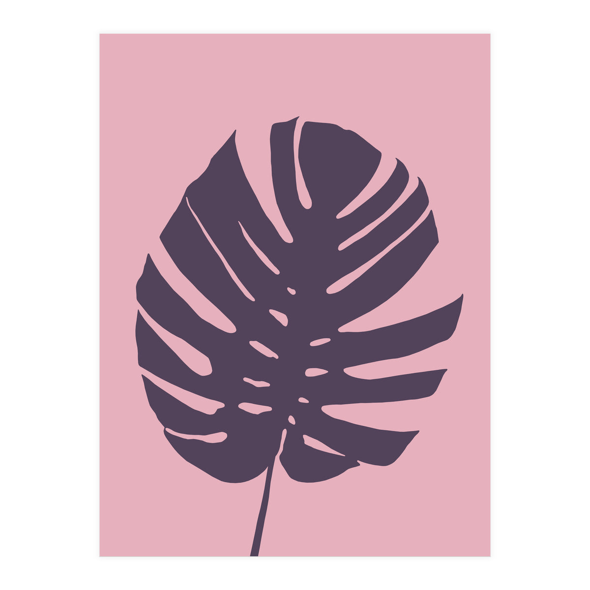 Monstera Deliciosa III (Print Only)