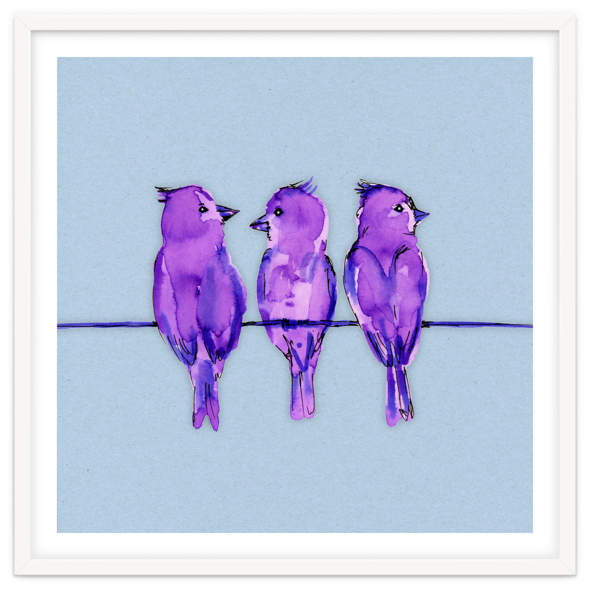 Three purple birds