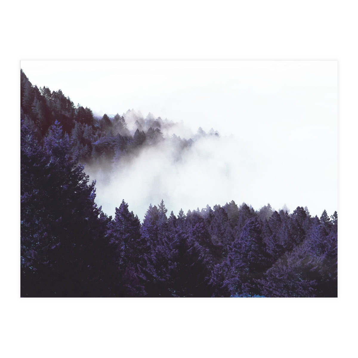 Mystery Fog (Print Only)