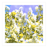 The Contrast Of Desire (Print Only) thumbnail