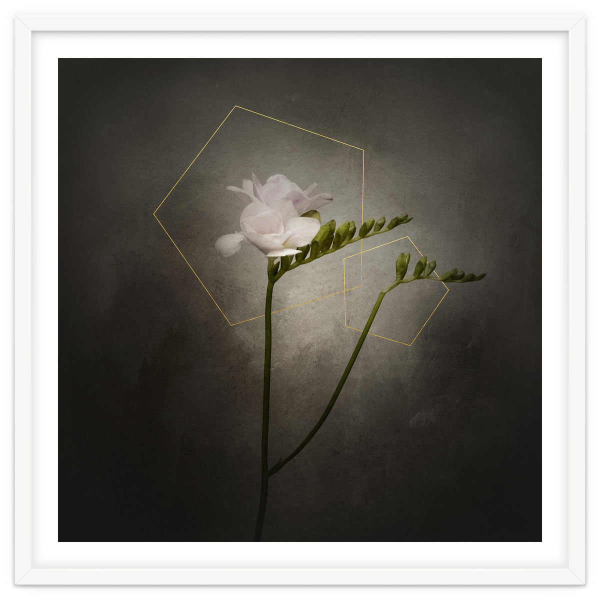 Graceful flower - Freesia | vintage style gold