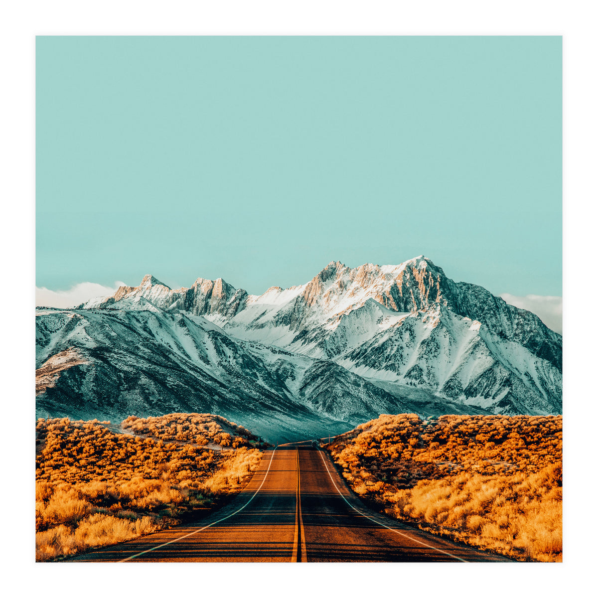 The Road Less Traveled (Print Only)