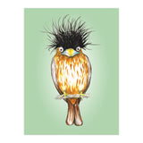 Brahminy starling (Print Only) thumbnail