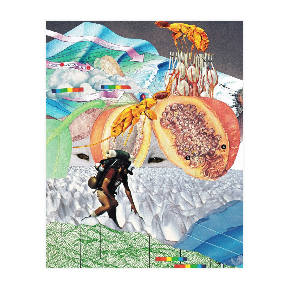 Wonderland (Print Only)