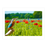 Bird and flower (Print Only) thumbnail