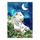 Moonbath (Print Only) thumbnail
