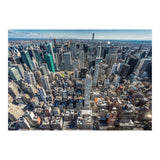 Dimensions (Print Only) thumbnail