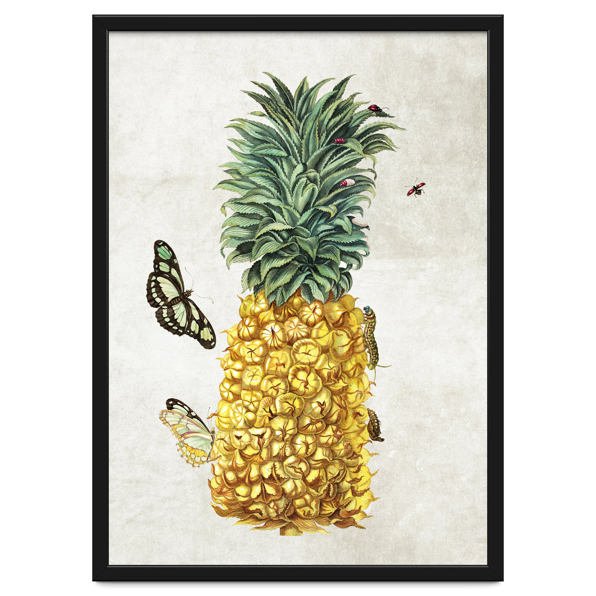 ananas