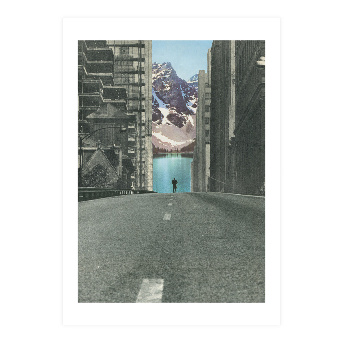 Into The Wild (Print Only)