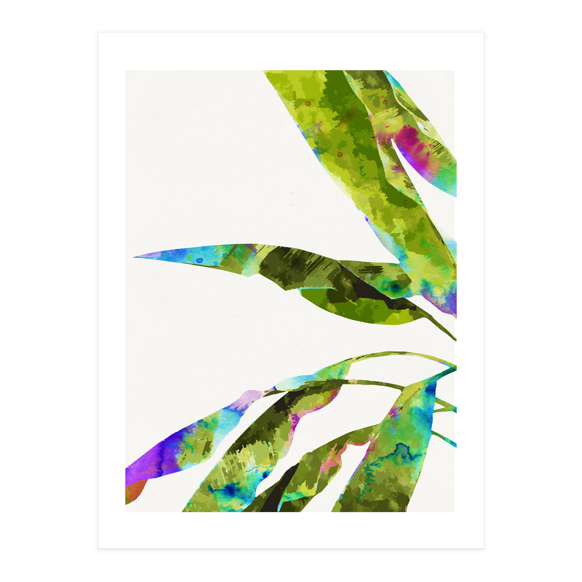 Banana Leaves Holi (Print Only)