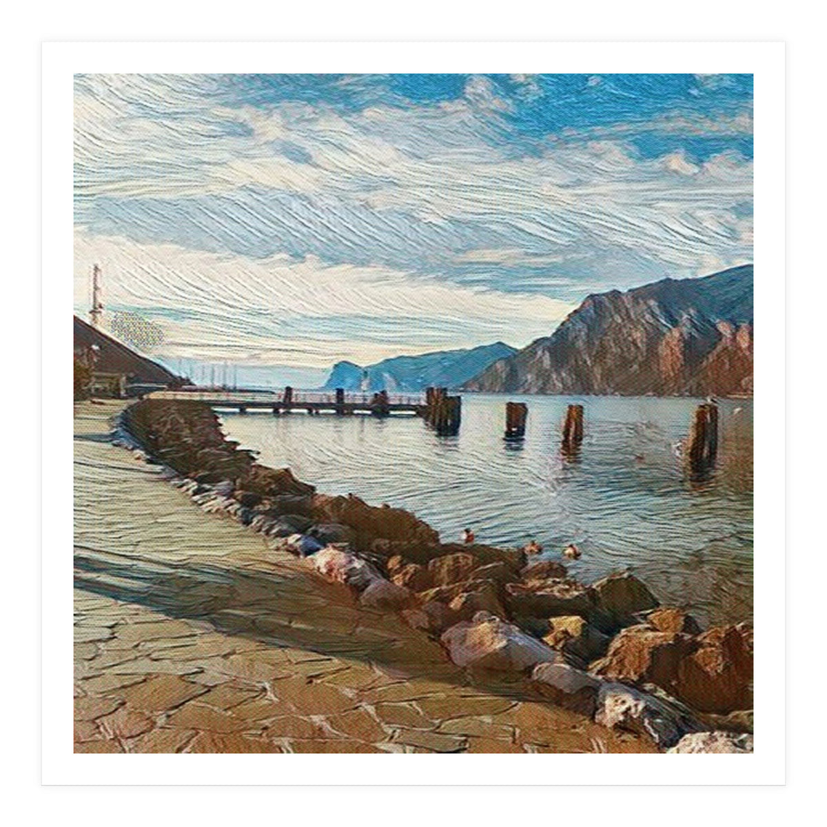 Ducks on Lake Garda, Italy. (Print Only)