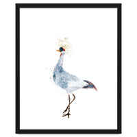 Watercolor Grey Crowned Crane