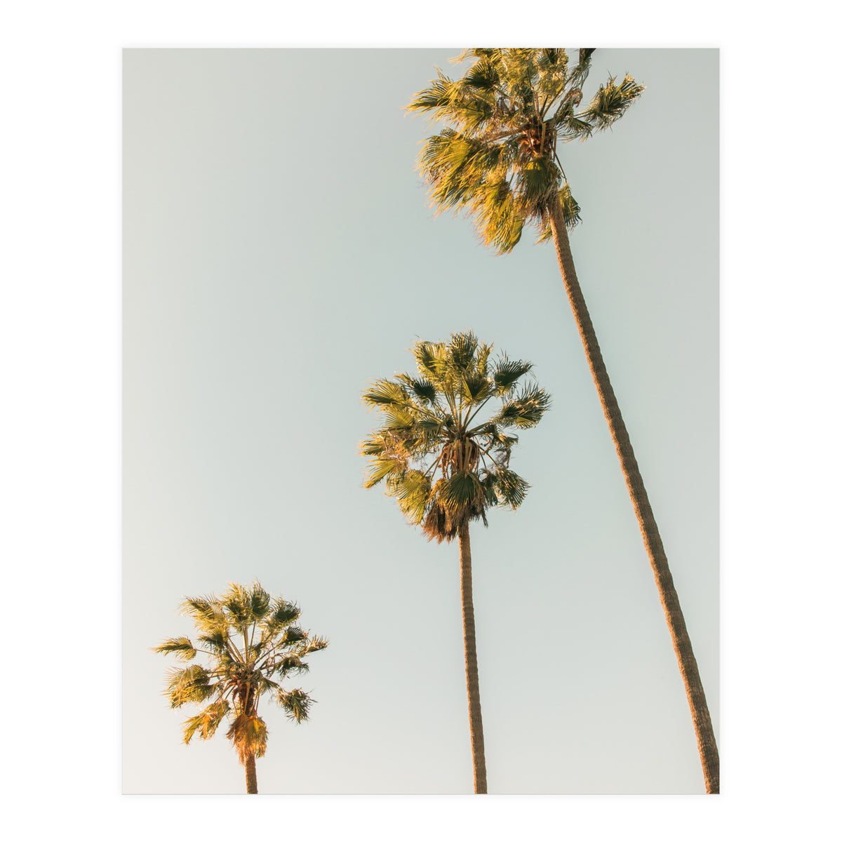 California (Print Only)