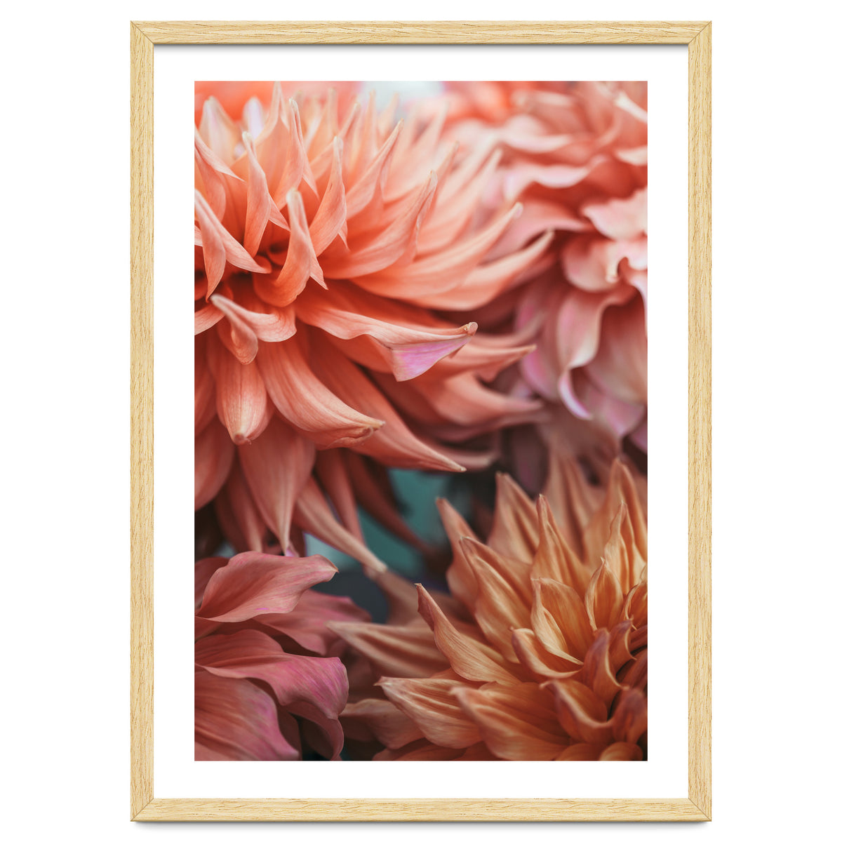 Vintage Dahlia