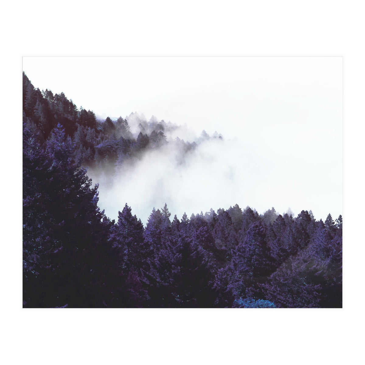Mystery Fog (Print Only)