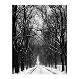 Winterly alley (Print Only) thumbnail