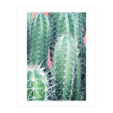 Cactus Up Close (Print Only) thumbnail