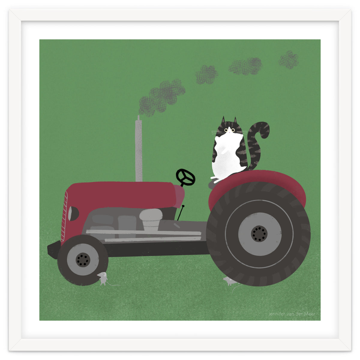 Cat 84: The farm cat