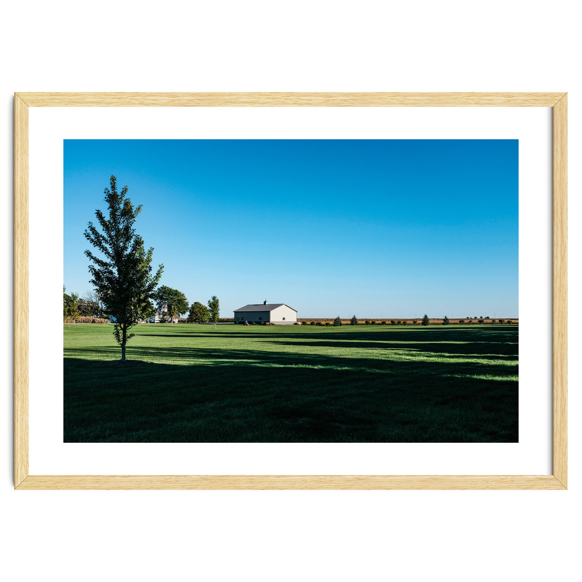 Summer evening, rural Illinois