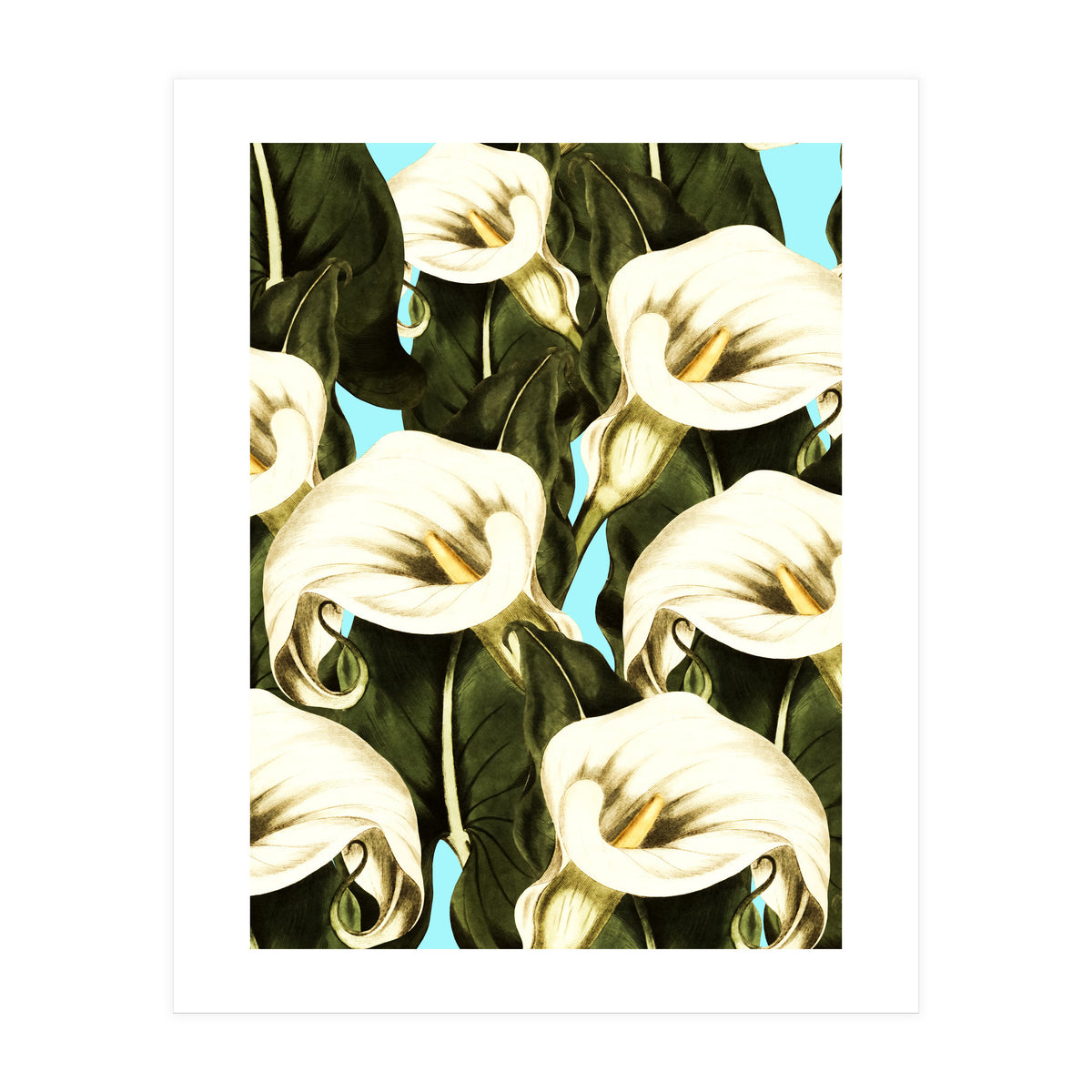 Pattern floral Ethiopian-Calla (Print Only)