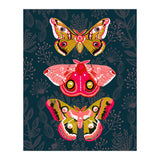 Lepidoptery Study No. 4 (Print Only) thumbnail