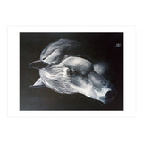The Grey Horse (Print Only) thumbnail
