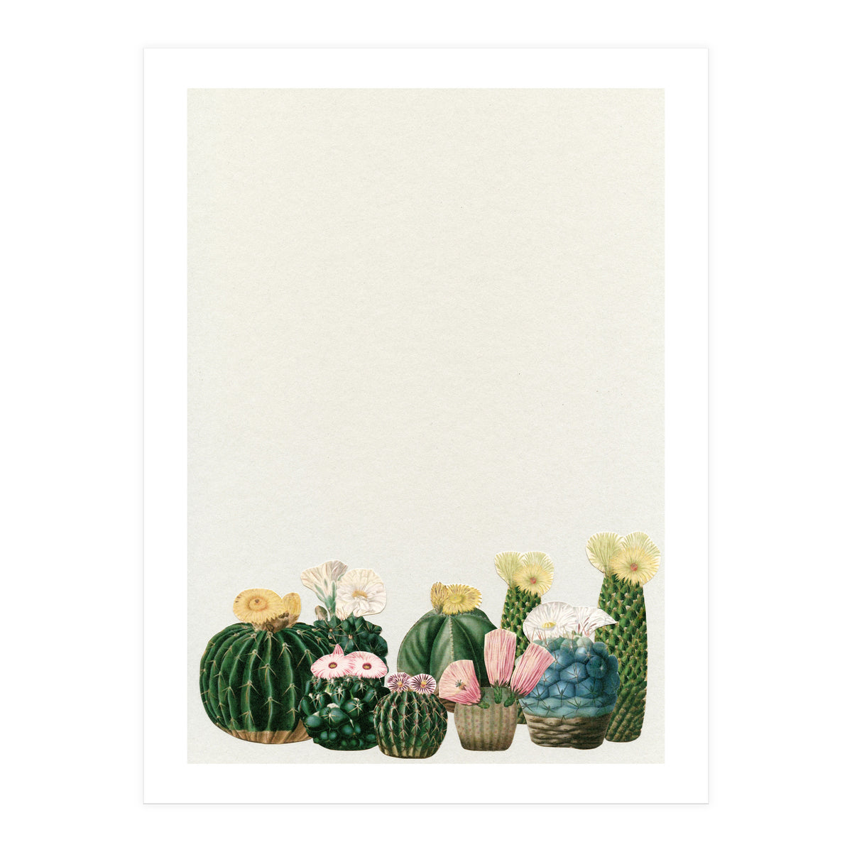 Cactus Garden (Print Only)