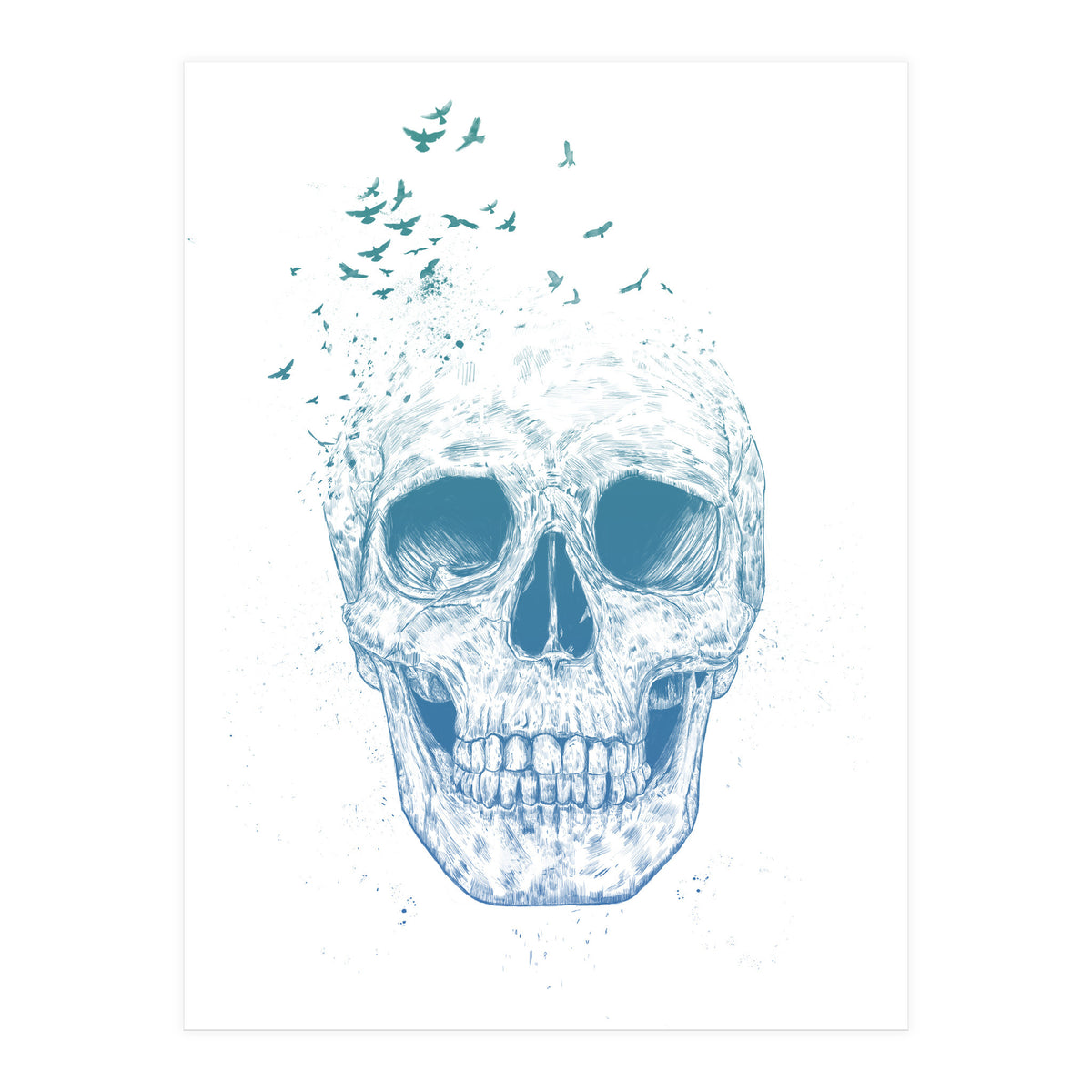 Let Them Fly Ii (Print Only)