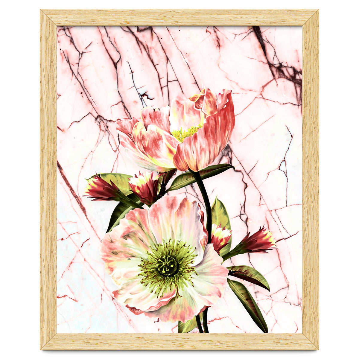 Flowering on pink marble