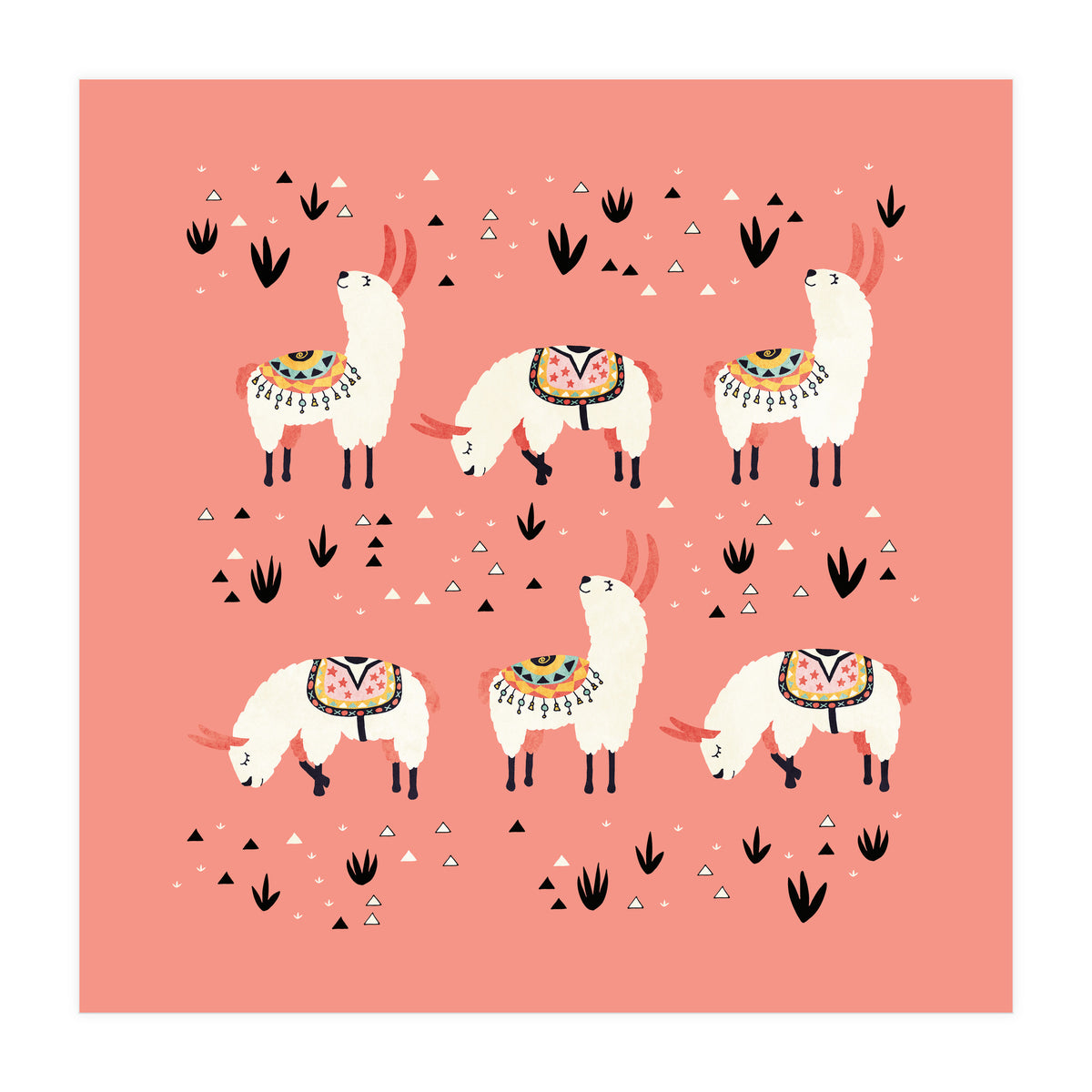 White Llamas In Pink Desert (Print Only)