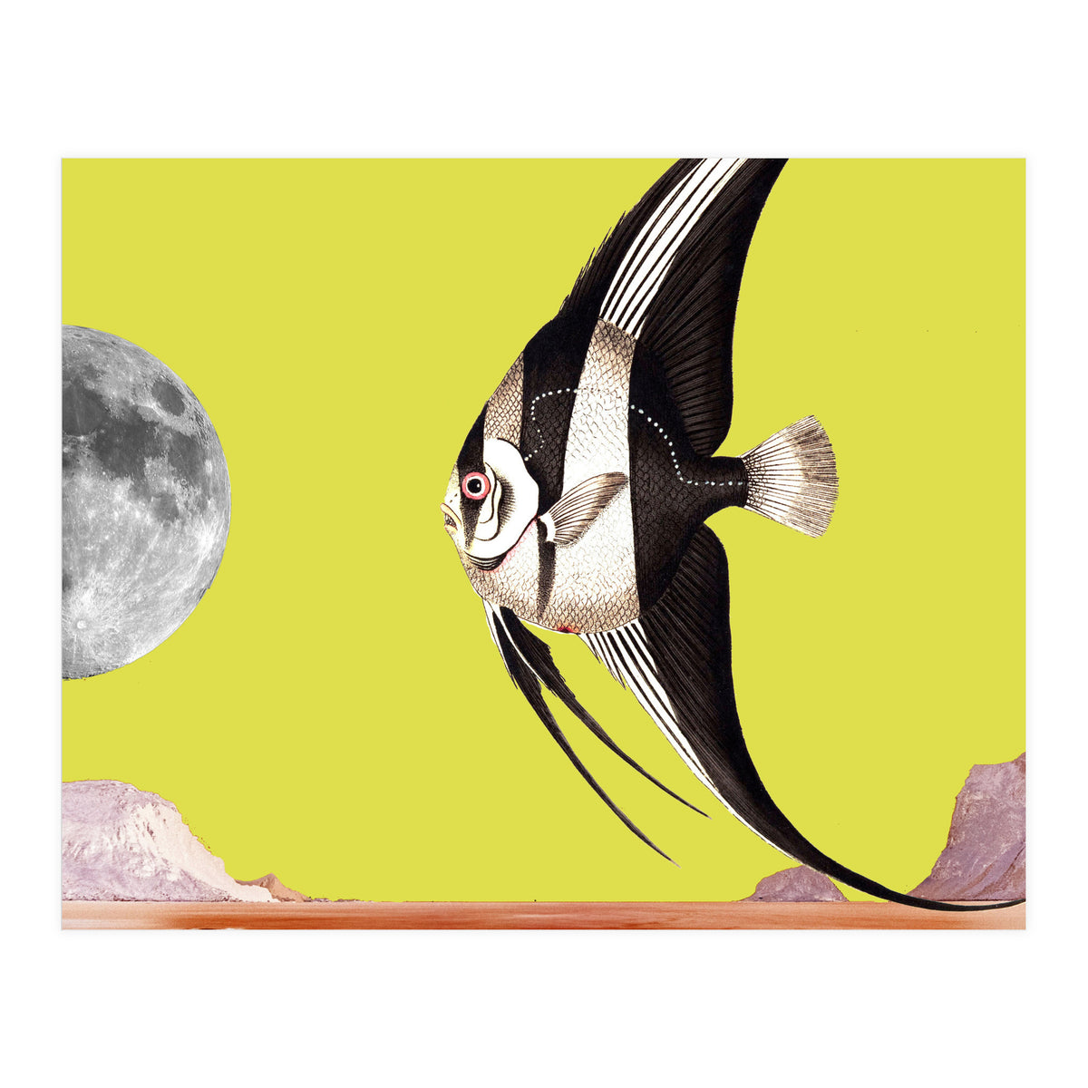 Plenty of fish in the sea yellow (Print Only)