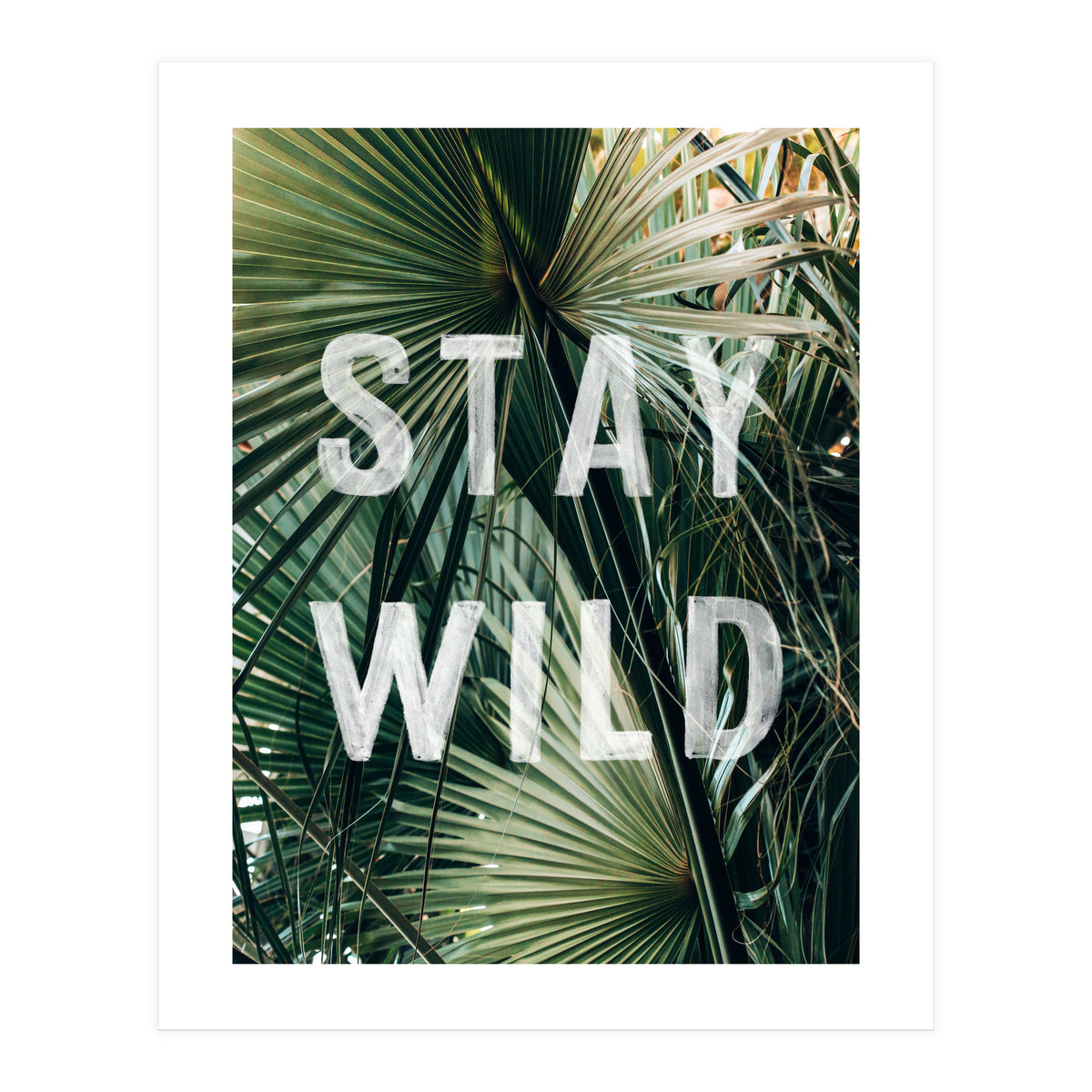 Stay Wild  (Print Only)