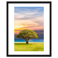 TREE with Great SKY