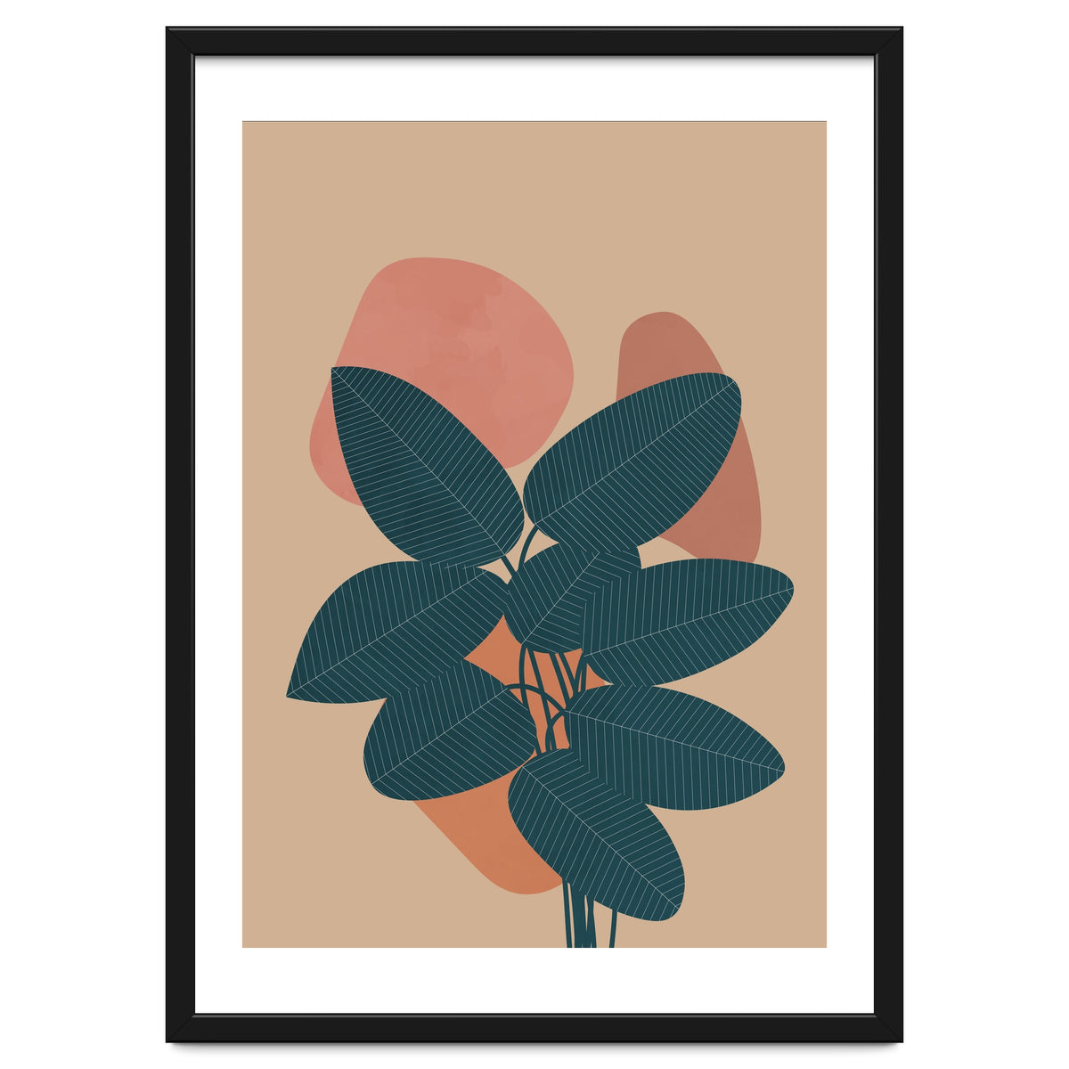 Rubber Plant Boho Botanical