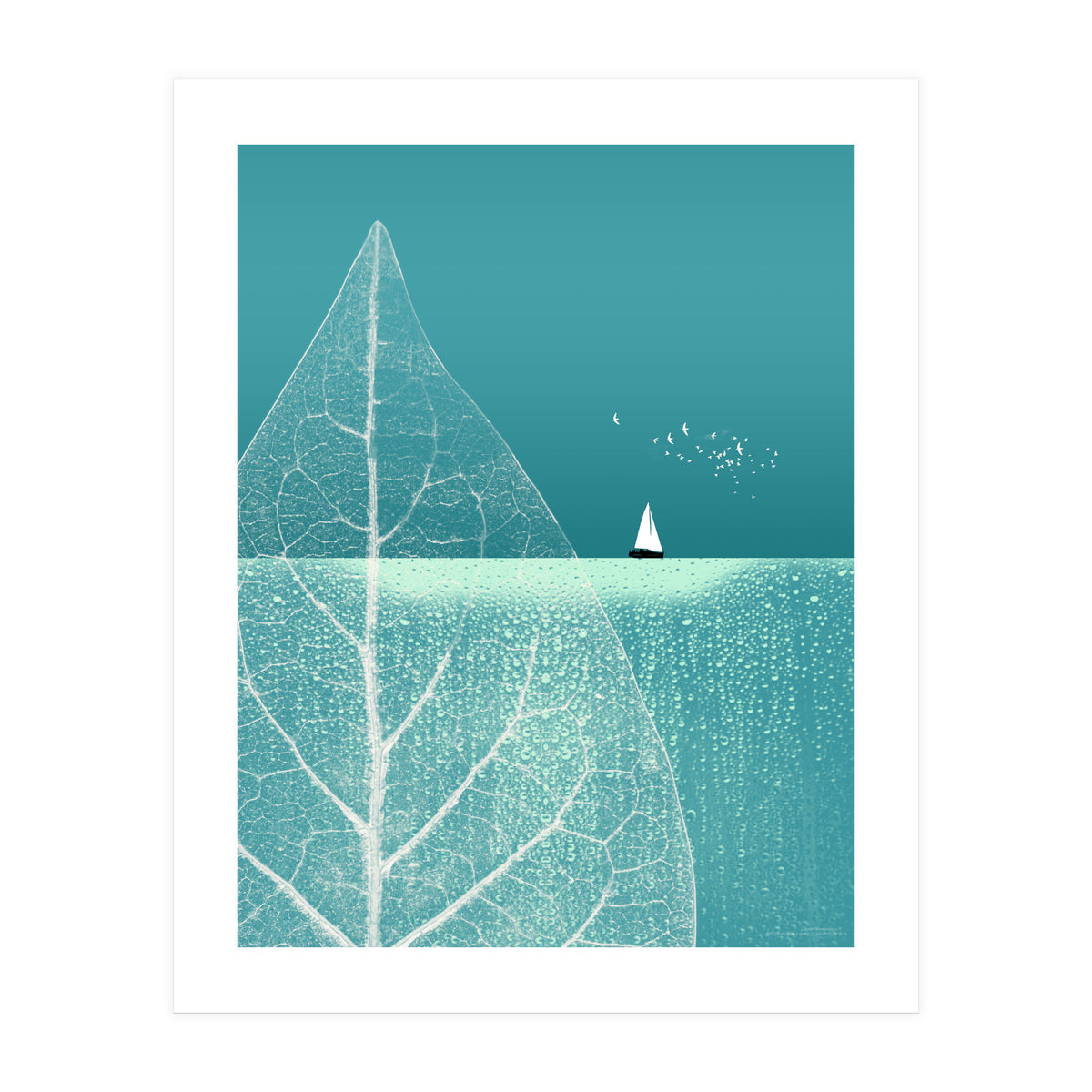 Ocean Wonderland II (Print Only)