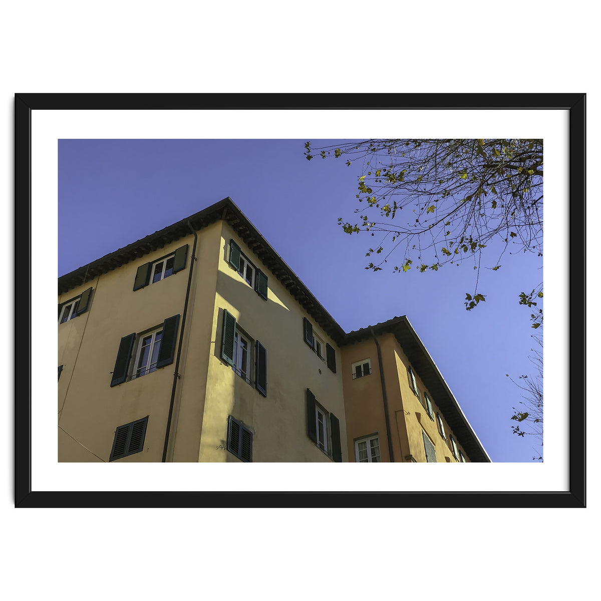 Windows From Tuscany 2