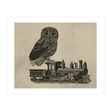 civetta (Print Only) thumbnail