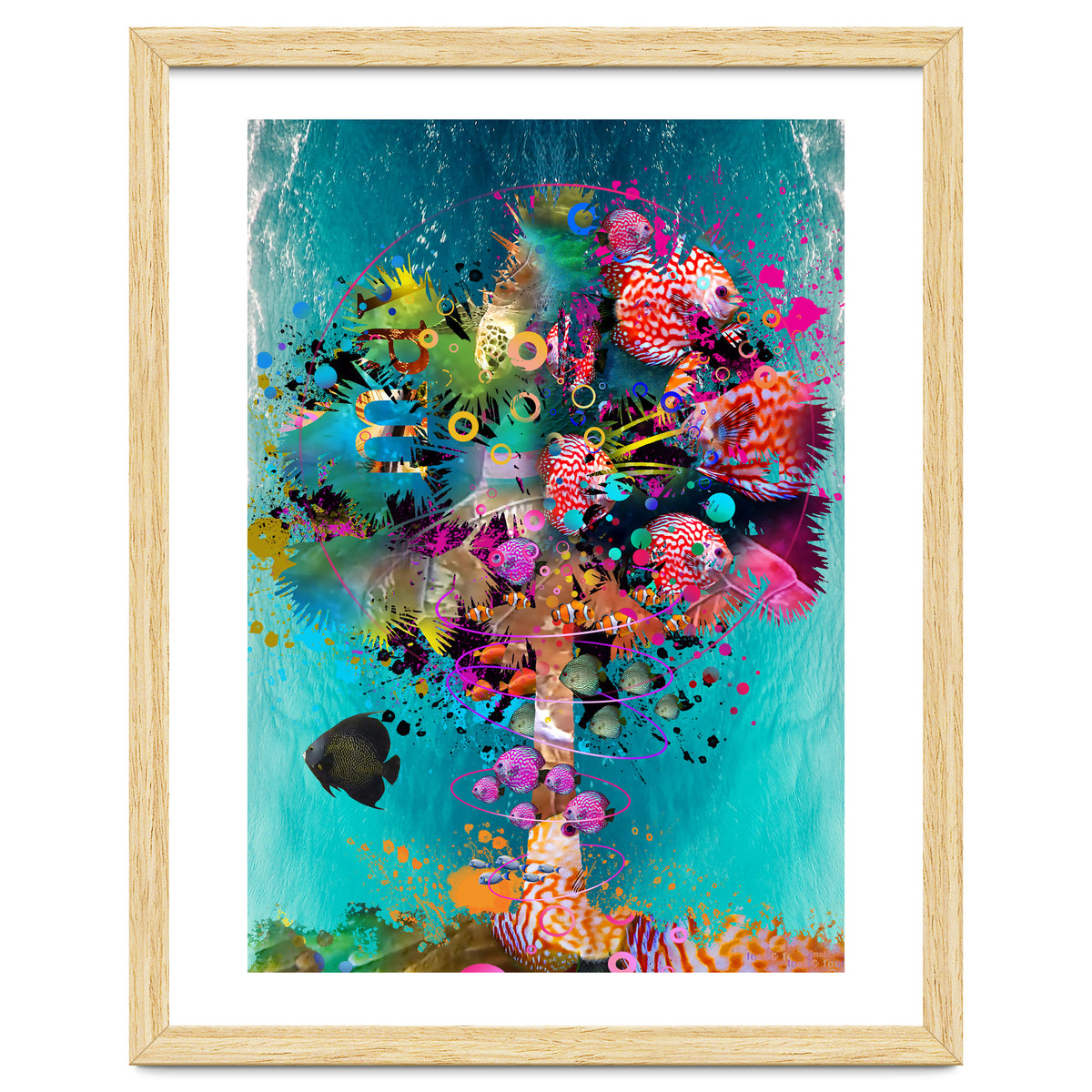 Surf Palm 02 Halfed Large2