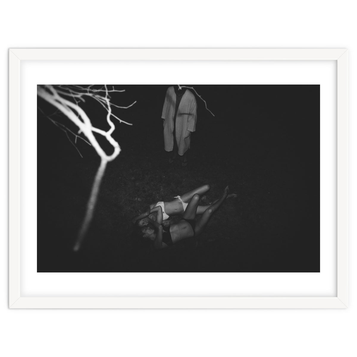 This is What it's Like to Live in a Tree House