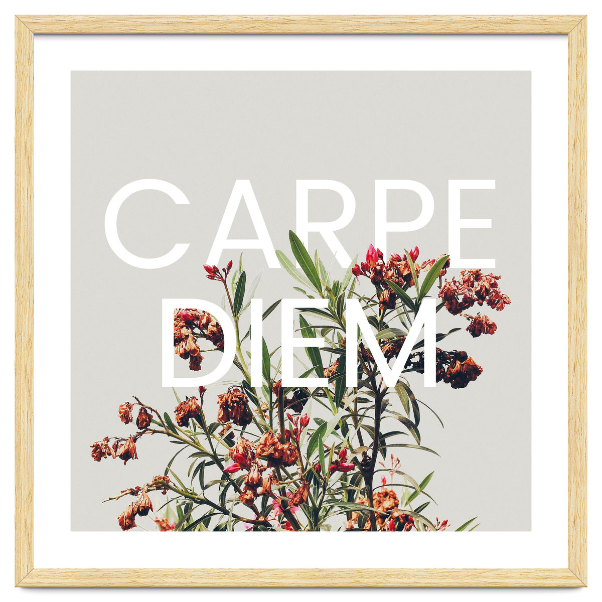 Carpe Diem