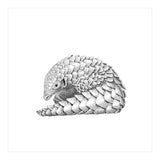 Pangolin (Print Only) thumbnail