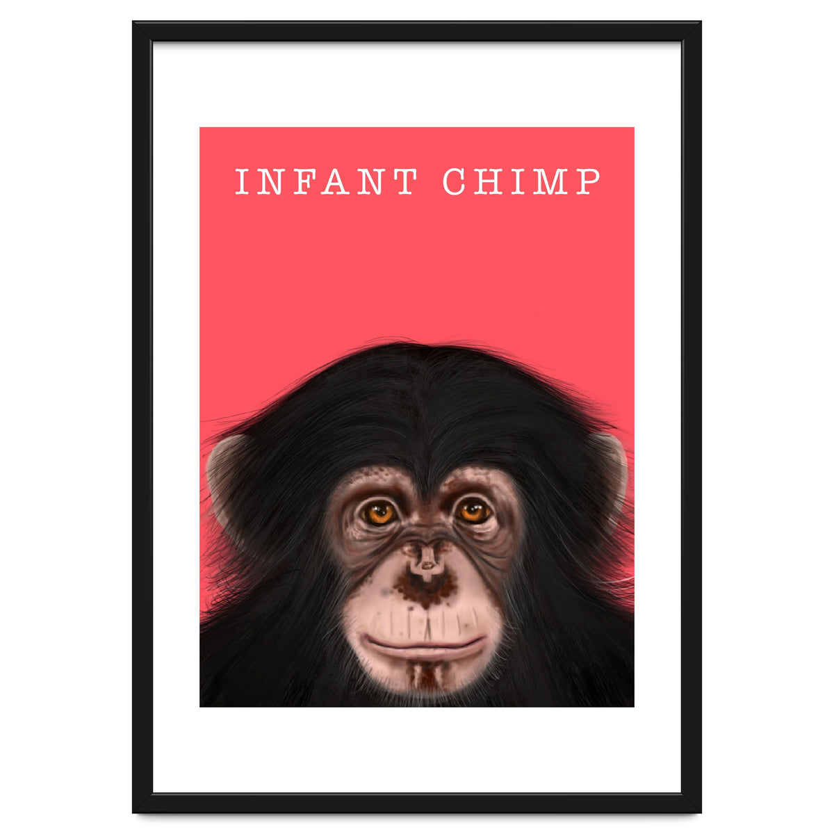 Infant Chimp