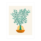 Emerald Ficus Sunset (Print Only) thumbnail