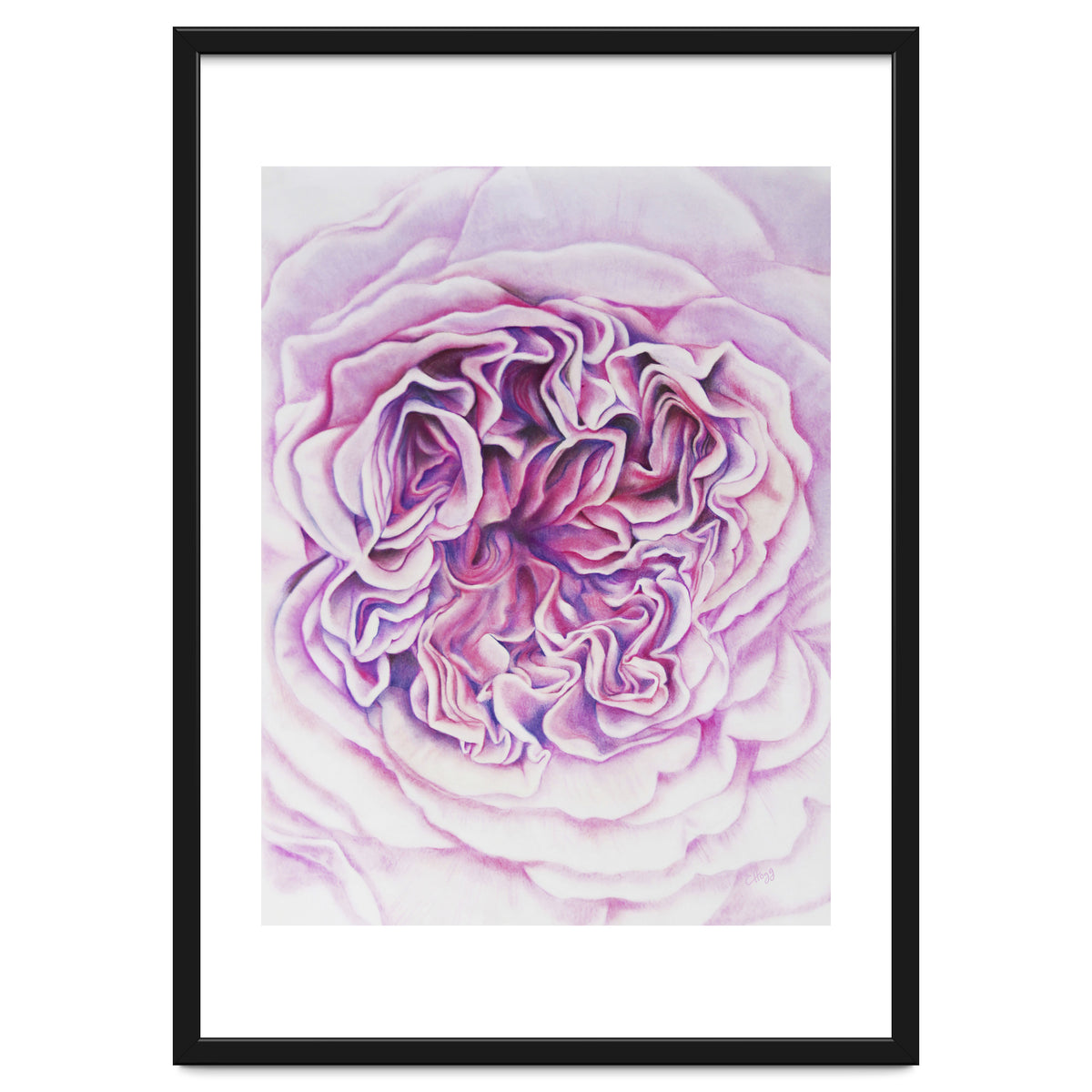 A Rose Is A Rose Std