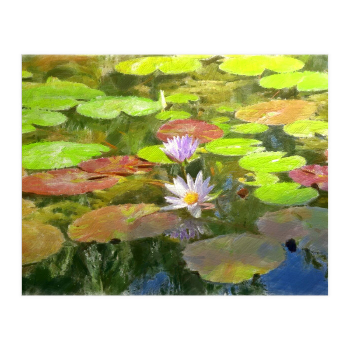 Floating in the water (Print Only)