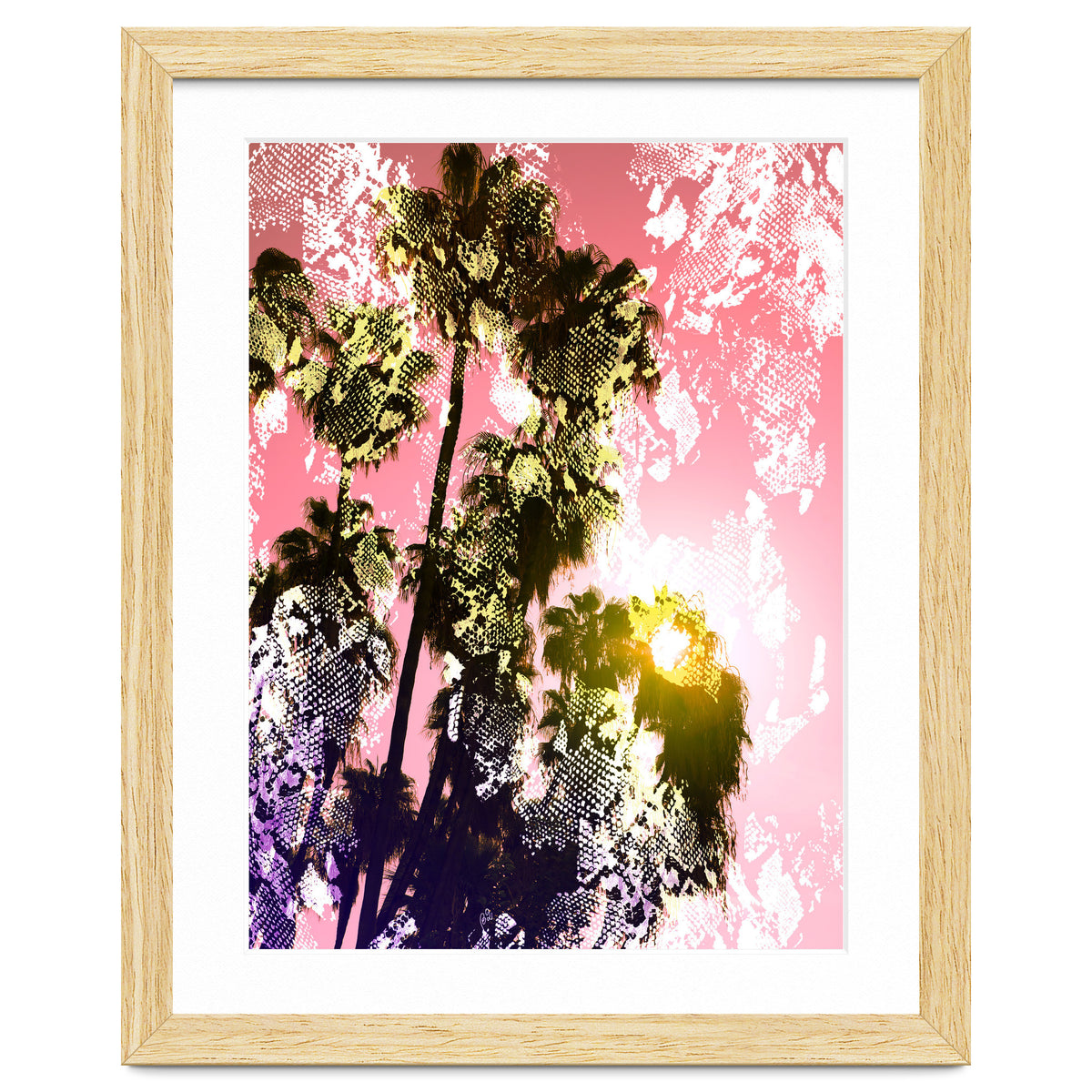 Snake sunset in paradise